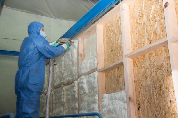 Best Spray Foam Insulation  in Ulysses, KS